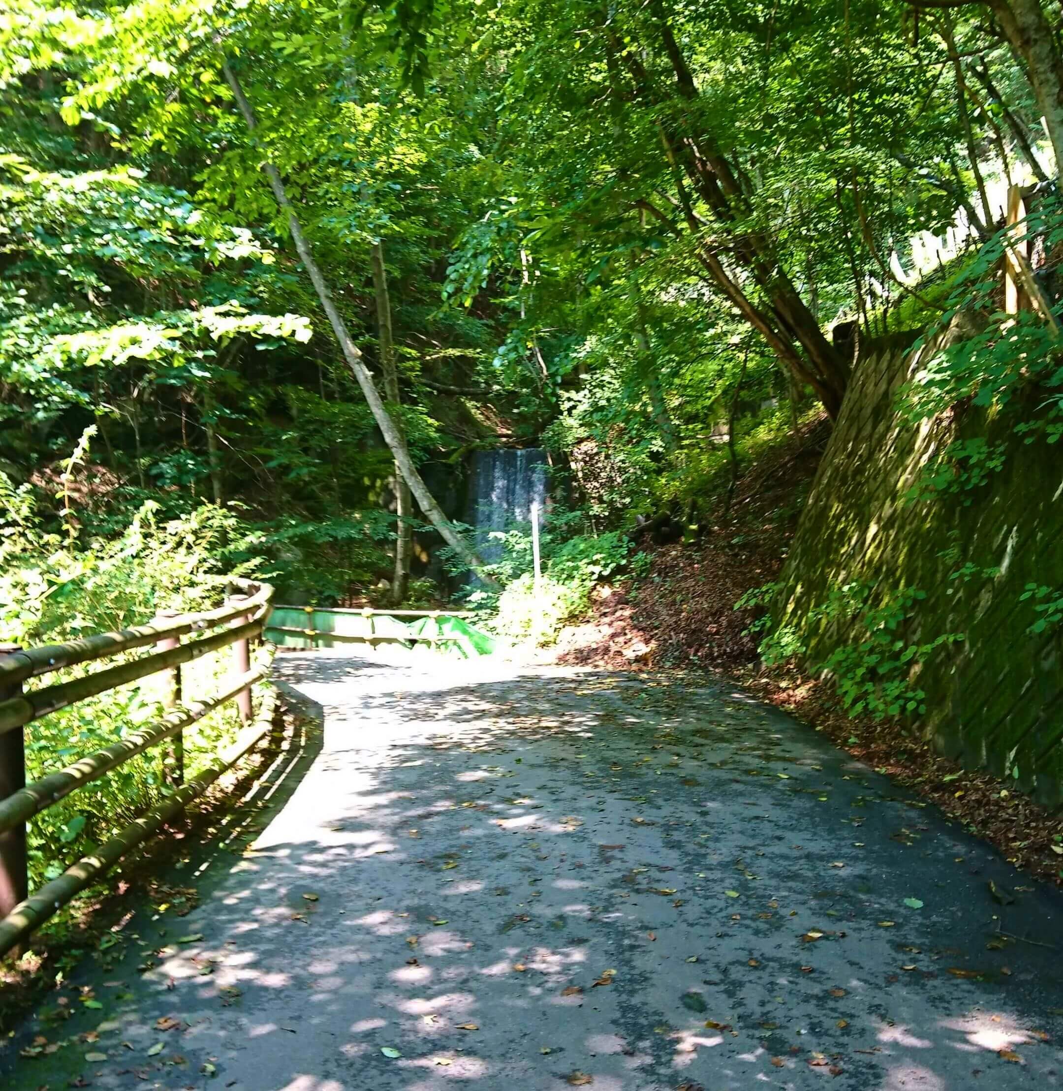 西沢渓谷を歩く服装は？夏のハイキングコースを歩いてご紹介！ たかポカン