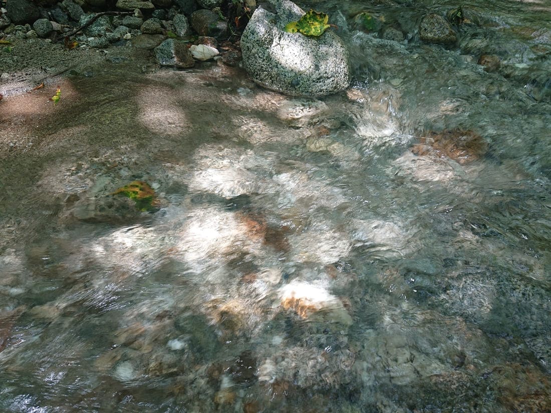 西沢渓谷を流れる水の透明度