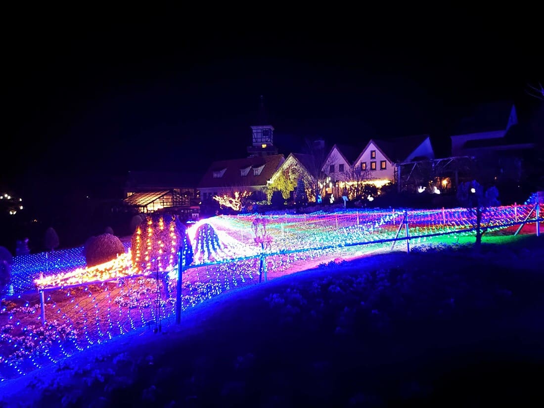 ハイジの村イルミネーション 真冬にしか見られない光の絨毯 グルメ イベントもご紹介 たかポカン