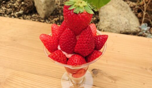 【葡萄屋 kofu パークcafe】通年で楽しめる季節のパフェとソフトクリーム♪フルーツ公園内にある大人気のブランドカフェ
