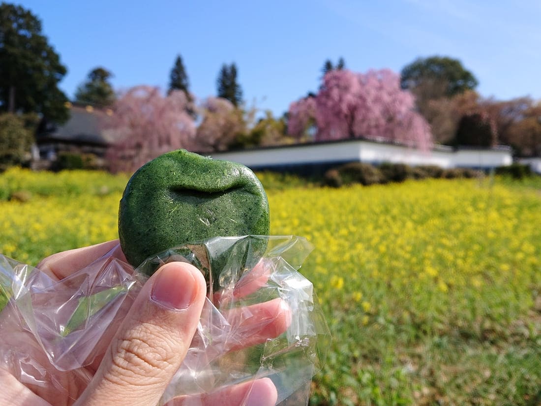 慈雲寺周辺の花と観桜期限定の草餅